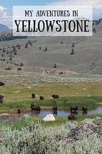 My Adventures in Yellowstone