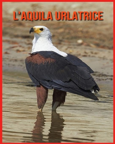 L'aquila Urlatrice