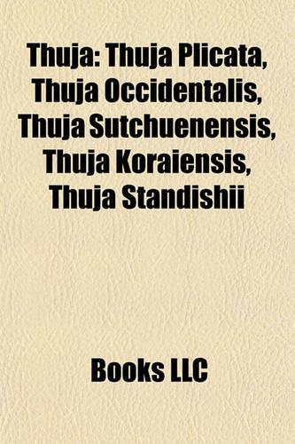 Thuja: Thuja Plicata, Thuja Occidentalis, Thuja Sutchuenensis, Thuja Koraiensis, Thuja Standishii(English)