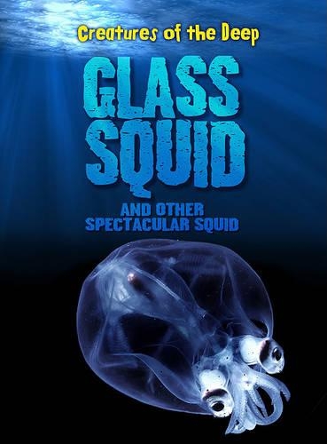Glass Squid and Other Spectacular Squid