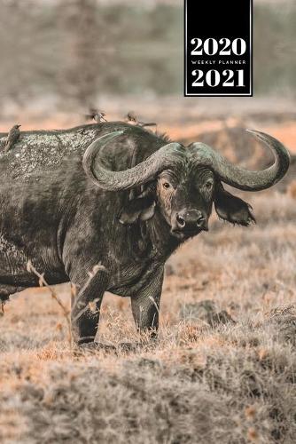 Buffalo Bison Yak Gaur Week Planner Weekly Organizer Calendar 2020 / 2021 - Slightly Dirty