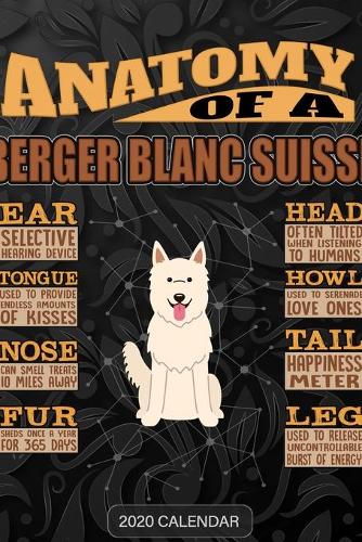 Anatomy Of A White Swiss Shepherd Dog