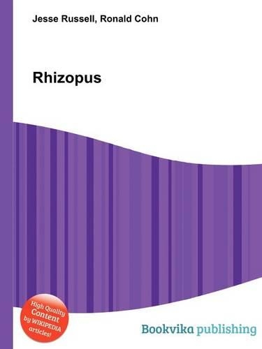 Rhizopus