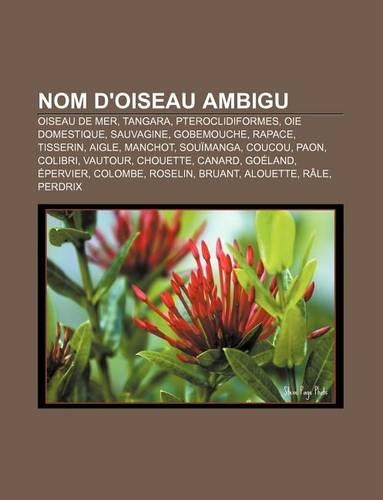 Nom D'Oiseau Ambigu
