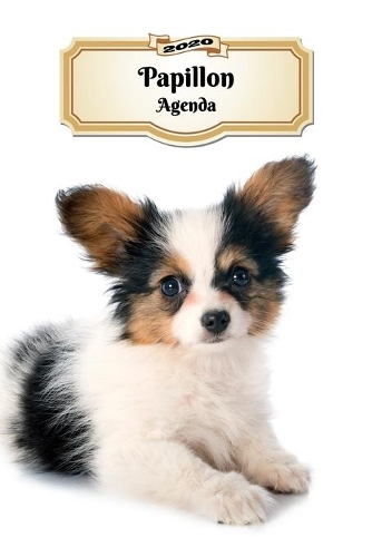 2020 Papillon Agenda