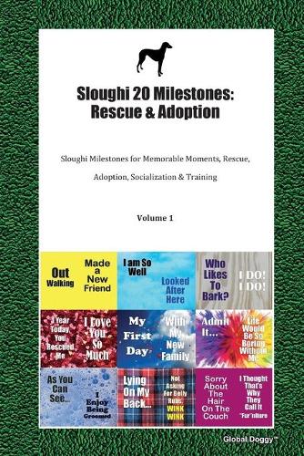 Sloughi 20 Milestones