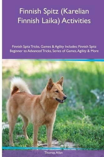 Finnish Spitz (Karelian Finnish Laika) Activities Finnish Spitz Tricks, Games & Agility. Includes