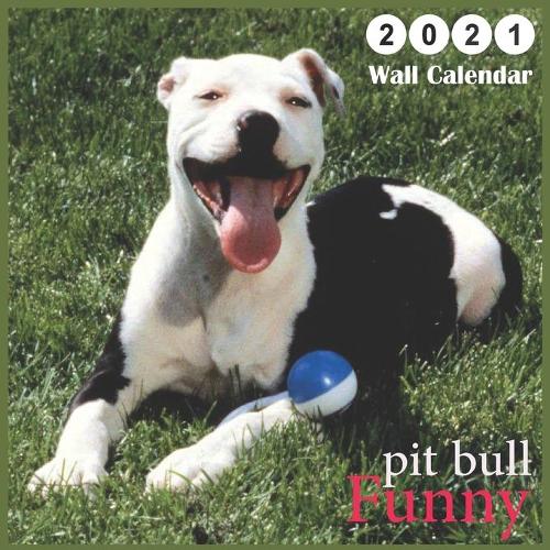 pit bull Funny: 2021 Wall & Office Calendar, 16 Month Calendar