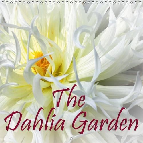 The Dahlia Garden 2015