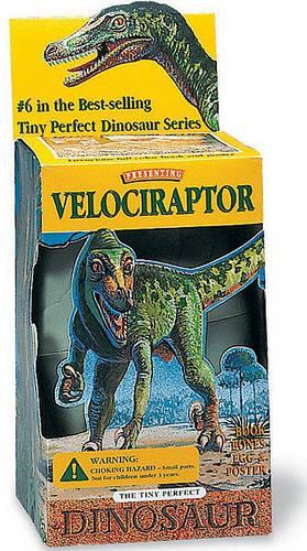 Velociraptor