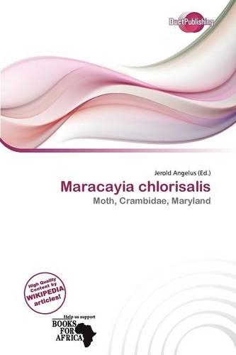 Maracayia Chlorisalis