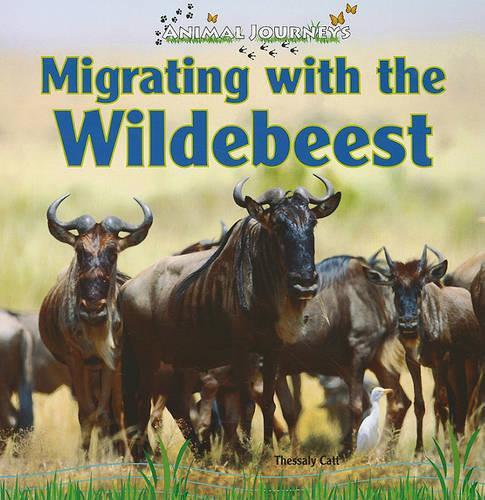 Migrating with the Wildebeest: (Animal Journeys)