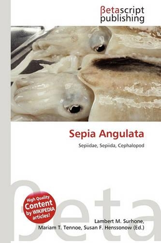 Sepia Angulata