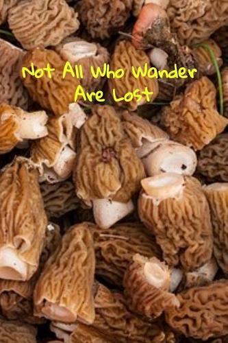 Not All Who Wander Are Lost: A fun place to write in. 6 x 9 110 pages