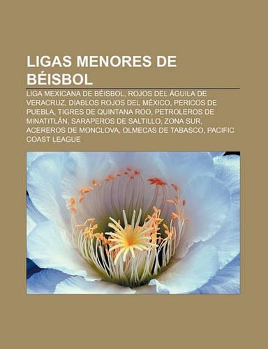 Ligas Menores de Beisbol