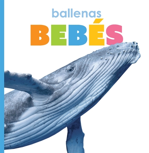 Ballenas Bebés: (El Principio de las)
