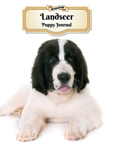 2020 Landseer Puppy Journal