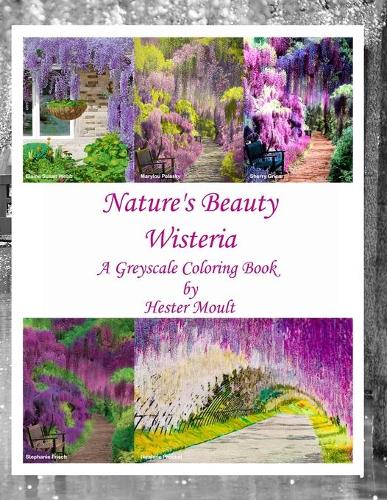 Nature's Beauty - Wisteria