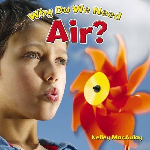 Why Do We Need Air?: (Natural Resources Close-Up)