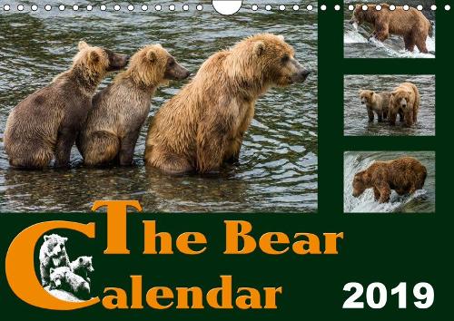 The Bear Calendar / UK-Version 2019