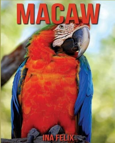 Macaw
