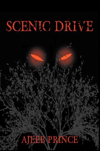 Scenic Drive