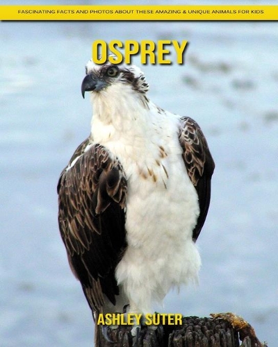 Osprey: Fascinating Facts and Photos about These Amazing & Unique Animals for Kids