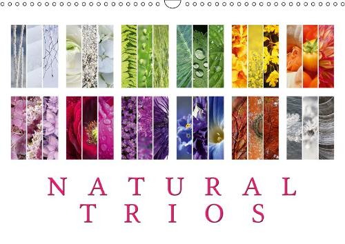 Natural Trios 2019: Enjoy the beauty of natural colour trios(Calvendo Places)