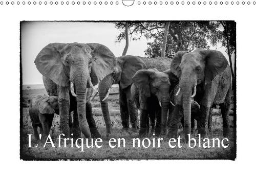L' Afrique en noir et blanc 2019: Vision inhabituelle du Masai Mara(Calvendo Animaux)