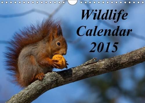 Wildlife Calendar / UK-Version 2015