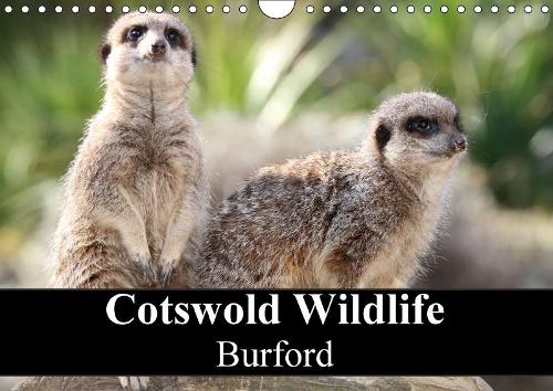 Cotswold Wildlife Burford 2018