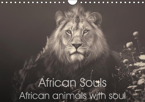 African Souls African animals with soul 2019: Enchanting animal souls of african nature(Calvendo Animals)