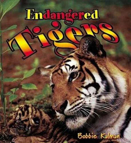 Endangered Tigers