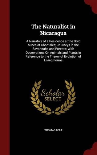 The Naturalist in Nicaragua: (English)