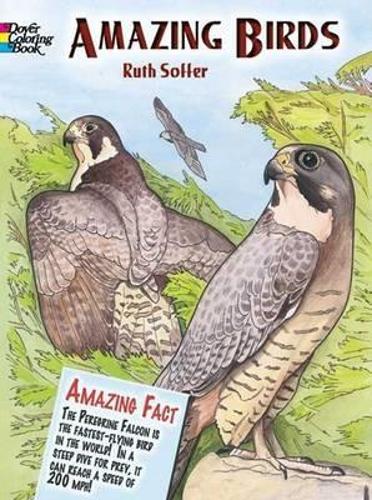 Amazing Birds: (Dover Nature Coloring Book)