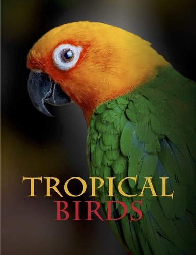 Tropical Birds: (Animals in Photographs)
