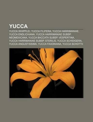 Yucca: Yucca Whipplei, Yucca Filifera, Yucca Harrimaniae, Yucca Endlichiana, Yucca Harrimaniae Subsp. Neomexicana(German)