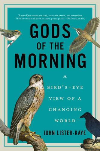 Gods of the Morning