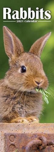 Rabbits 2021 Slim Calendar