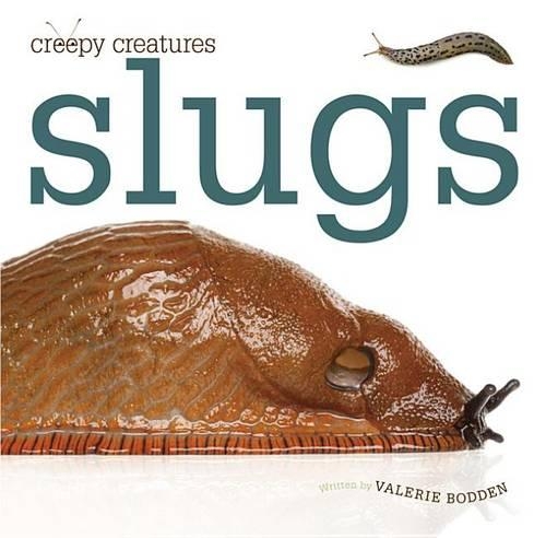Slugs