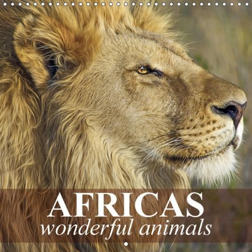 Africas Wonderful Animals 2018: Africas Beautiful Animals in the Wild(Calvendo Animals)