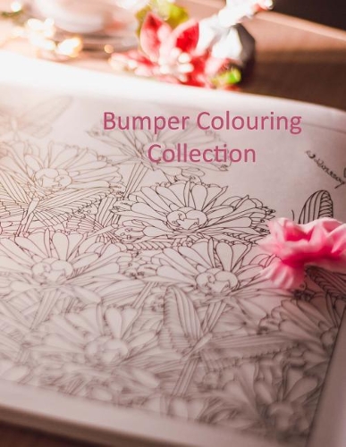 Bumper Colouring Collection: 118 beautiful colouring designs, Dragons, Animal Heads, Woman's Heads and Women posing. Can you complete the colouring challenge?