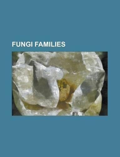 1940 Elections in Europe