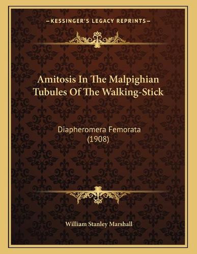 Amitosis In The Malpighian Tubules Of The Walking-Stick