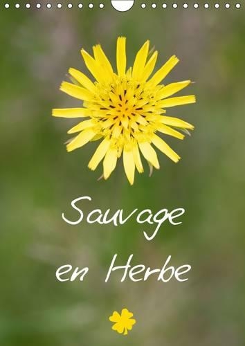 Sauvage en Herbe 2017