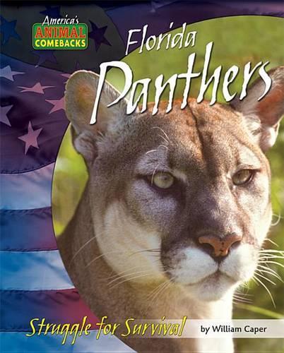 Florida Panthers