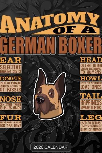 Anatomy Of A German Boxer