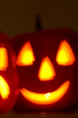 2019 Daily Planner Halloween Jack O Lanterns Carved Pumpkins 384 Pages: (2019 Planners Calendars Organizers Datebooks Appointment Books Agendas)