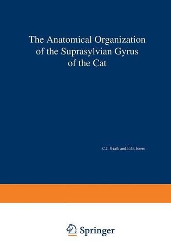 The Anatomical Organization of the Suprasylvian Gyrus of the Cat