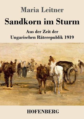 Sandkorn im Sturm